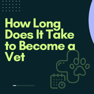 How Long Does It Take to Become a Vet