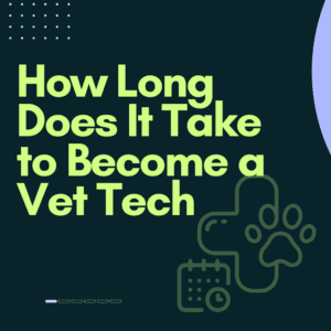 How Long Does It Take to Become a Vet Tech
