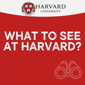 What to See at Harvard